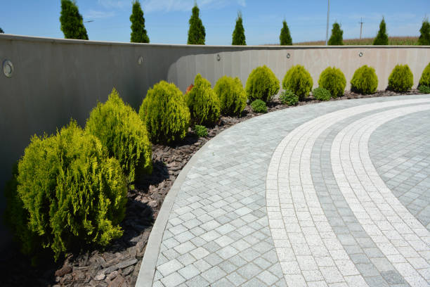 Reasons to Select Us for Your Driveway Paving Requirements in Copperas Cove, TX